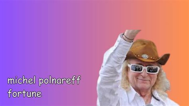 Michel Polnareff Fortune, Biographie & Âge